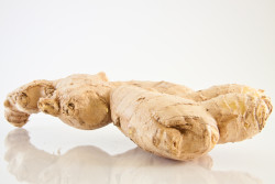 large-ginger-1-1319901